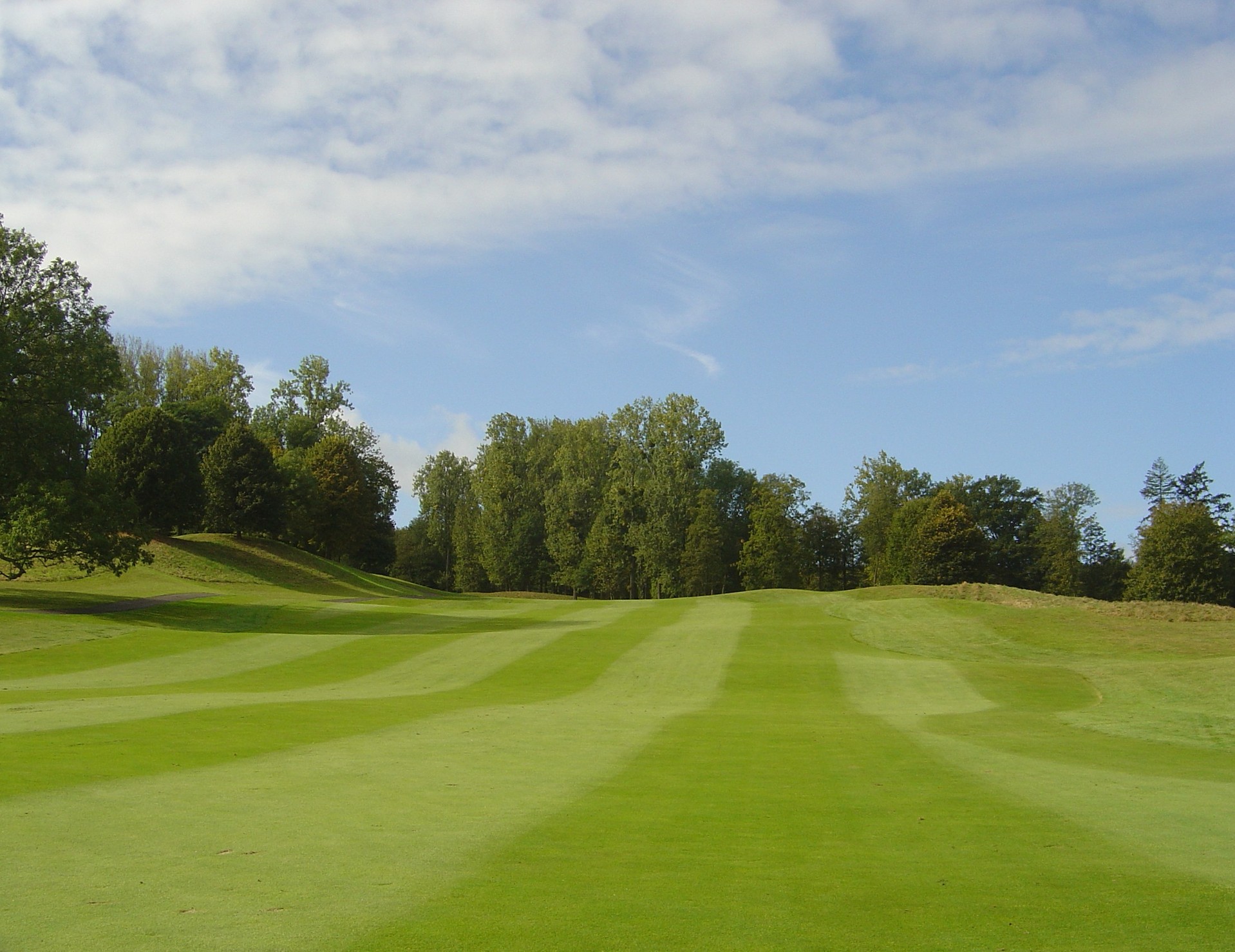  Timber Wolf Golf Club